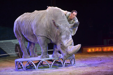 'Evolution' Weltpremiere im Circus Krone, München