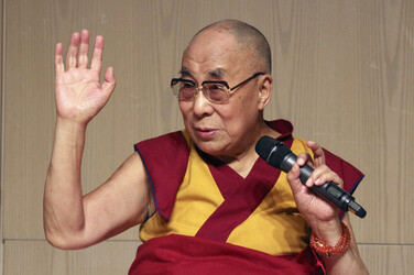 Dalai Lama Pressekonferenz, Hamburg