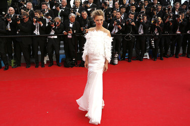 'Drachenzähmen leicht gemacht 2' Premiere, Cannes Film Festival 2014