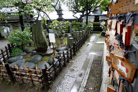 Sightseeing Tokio