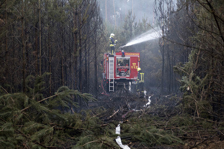Waldbrandbekämpfung bei Treuenbrietzen