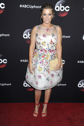 ABC Programmpräsentation 2015 in New York