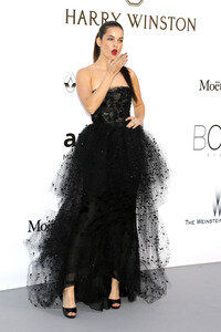 amfAR's Cinema Against Aids Gala, Cannes Film Festival 2016