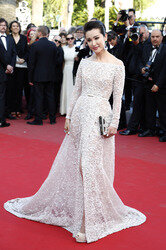 'Carol' Premiere, Cannes Film Festival 2015