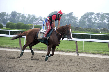 California Chrome bei den Belmont Stakes 2014, Elmont