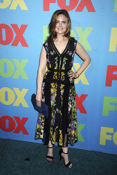 FOX 2014 Programm-Präsentation, New York