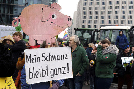 Demonstration 'Wir haben es Satt!' in Berlin
