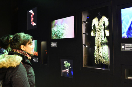 Expo Milano 2015